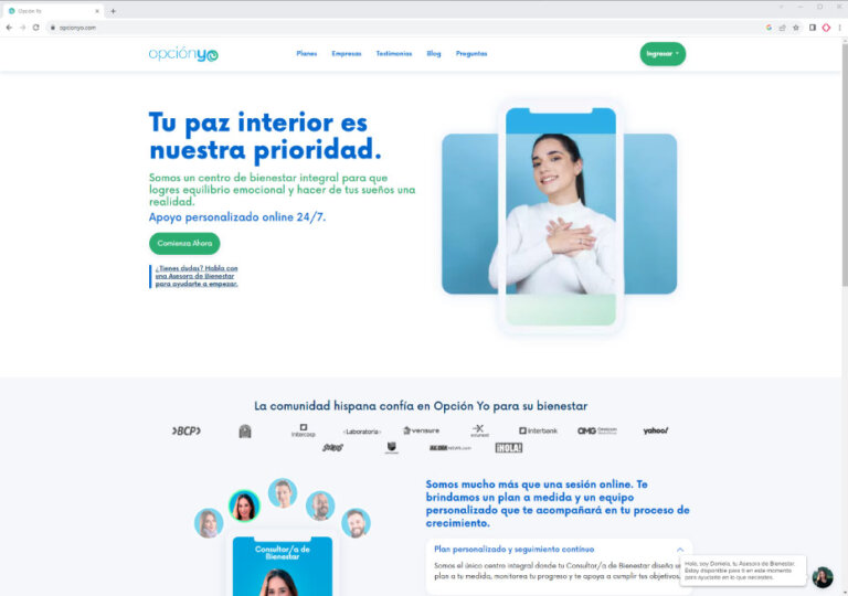 Desarrollo Web: OpciÃ³n Yo